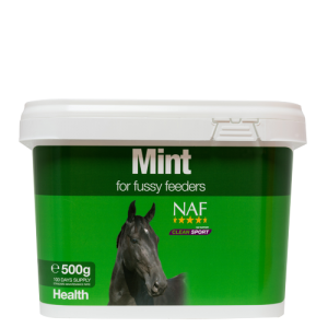 NAF Mint 500g