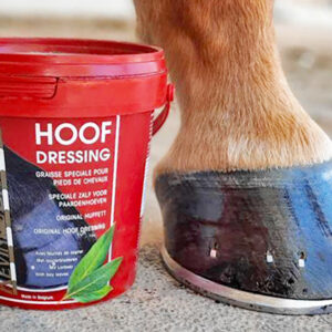 Kevin Bacon's Hoof Dressing
