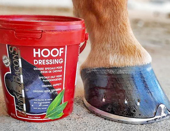 Kevin Bacon's Hoof Dressing