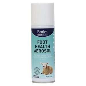 Battles Foot Health Aerosol 150g