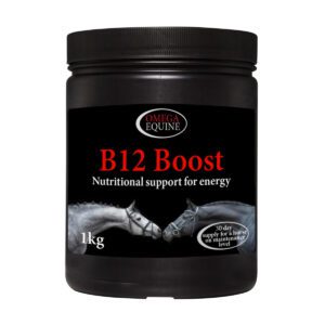 Omega B12 Boost
