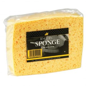Lincoln Sponge