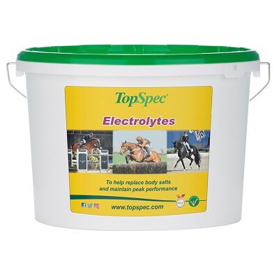 TopSpec Electrolytes - Image 2