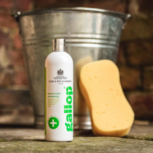 Carr & Day & Martin Gallop Medicated Shampoo 500ml