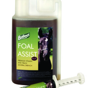 Baileys Foal Assist