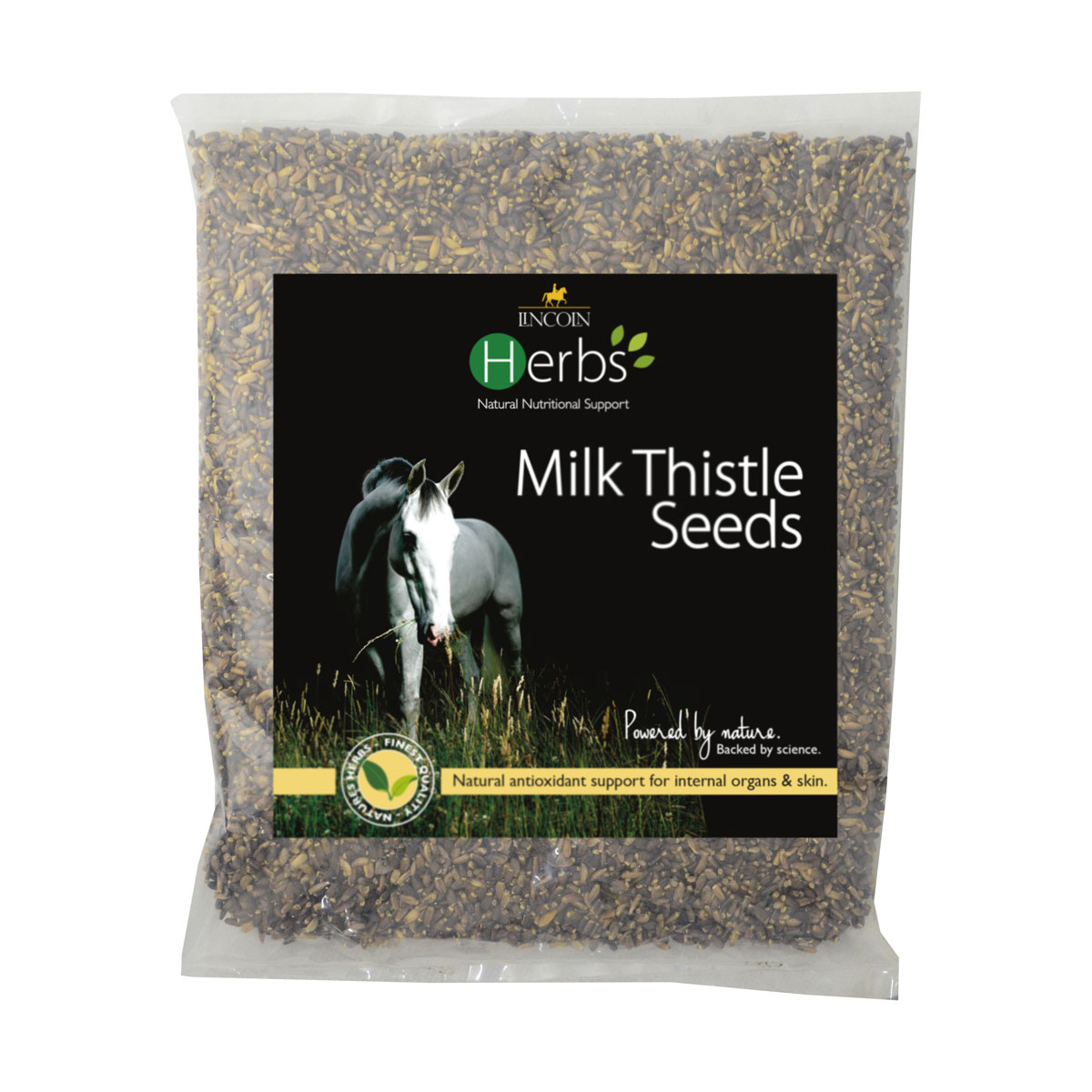 Lincoln Herbs Milk Thistle Seeds - Image 3