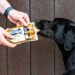 Golden Paste For Dogs