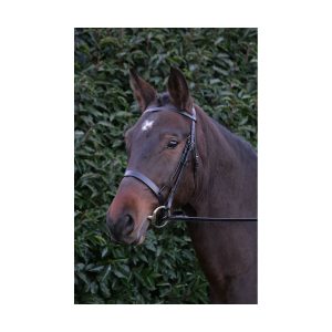 Black Cob 5/8'' Hy Padded Flash Bridle With Rubber Grip Reins 