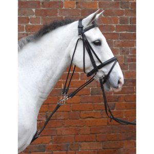 Hy Equestrian De Gouge Black