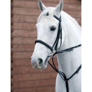 Hy Equestrian Market Harborough