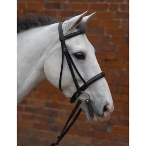 Hy Padded Cavesson Bridle with Rubber Grip Reins