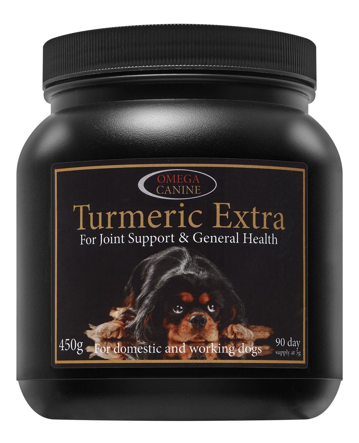 Omega K9 Turmeric Extra 450g