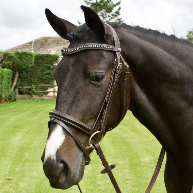 Whitaker Lynton Padded Cavesson  Bridle 2 Browbands  Raised & Diamante Inc 