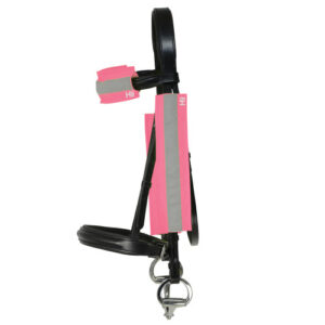 Hy Equestrian Reflector Bridle Bands - Neon Pink