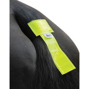 HyVIZ Tail Band