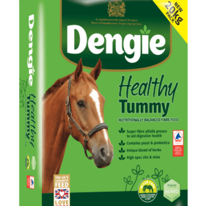 Dengie Healthy Tummy 20kg Click & Collect