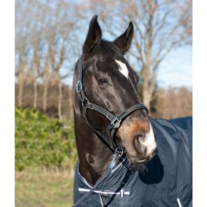 HKM Leather Head Collar Soft