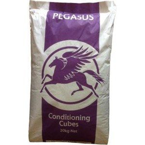Spillers Pegasus Conditioning Cubes 20kg Click & Collect 