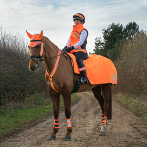 Hy Equestrian Reflector Ear Bonnet