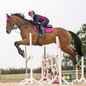 Hy Equestrian Armoured Guard Fetlock Boot -Pro Reaction