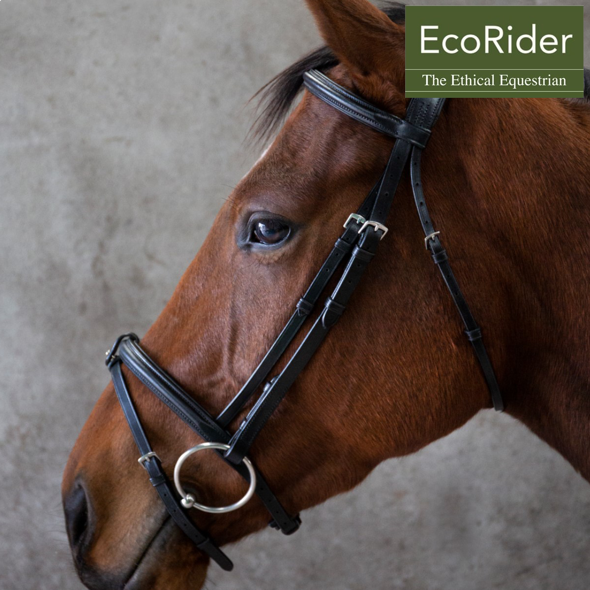 Eco Rider Freedom Comfort Bridle 