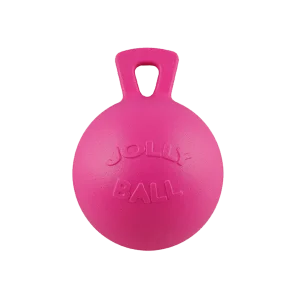 Horsemen's Pride Jolly Ball 10" - Bubblegum Scented