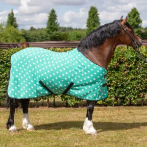 Dotty Fleece Rug by Supreme Products