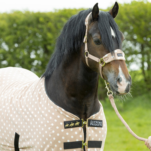 Dotty Fleece Rug by Supreme Products - Image 12