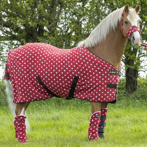 Dotty Fleece Rug by Supreme Products - Image 3