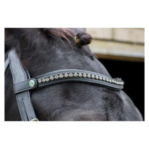 EcoRider Freedom Browband