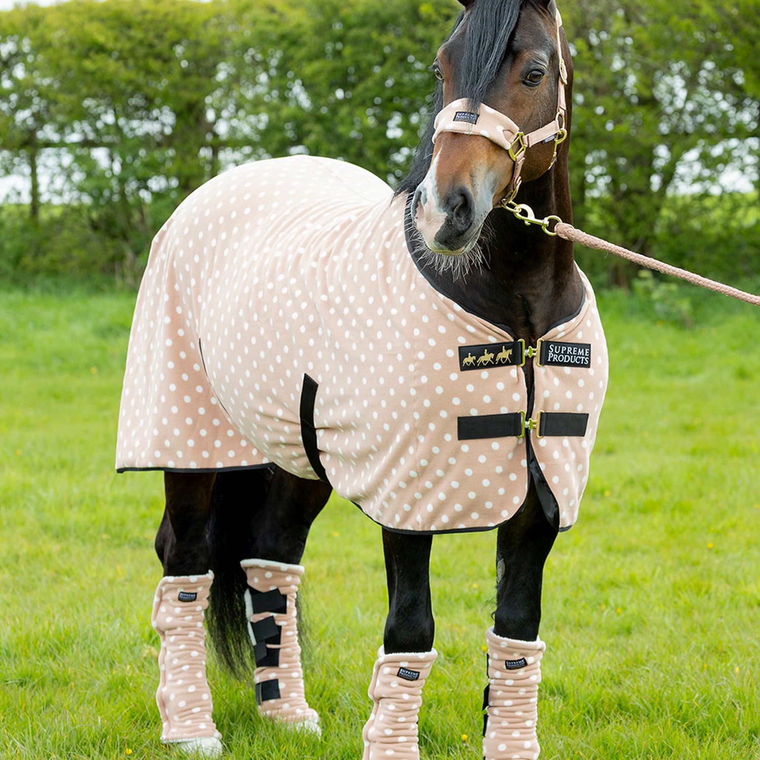 Dotty Fleece Rug by Supreme Products - Image 2