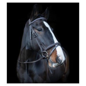 Cameo Core Collection Anatomic Bridle With Sure Grip Reins
