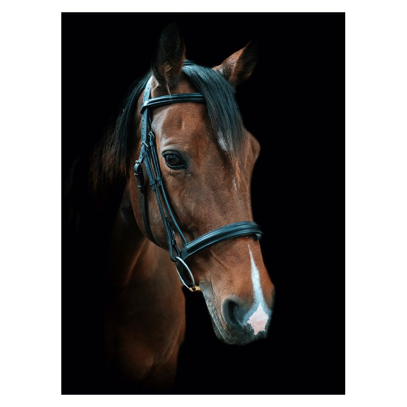 Cameo Core Collection Anatomic Bridle With Sure Grip Reins - Image 3