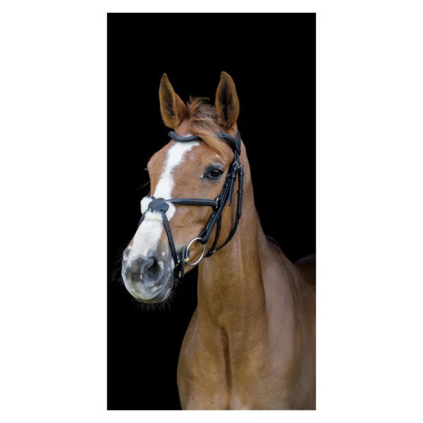 Cameo Core Collection Anatomic Grackle Bridle With Reins