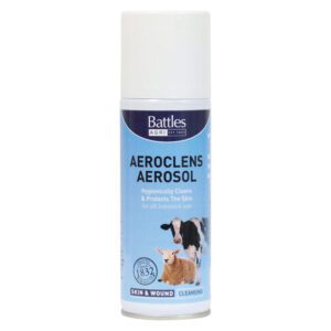 Battles Aeroclens Aerosol 150g