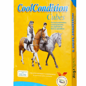  TopSpec CoolCondition Cubes 20kg Click & Collect 