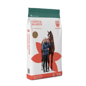 Saracen Essential Balancer 20kg Click & Collect