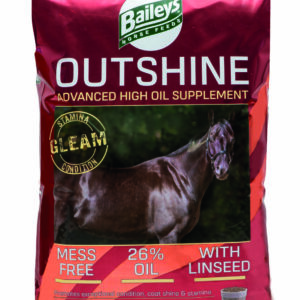 Baileys Outshine Spearmint 20kg Click & Collect