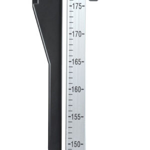 Lincoln Horse Measuring Stick