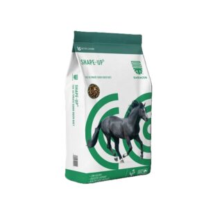 Saracen Shape-Up Balancer 20kg Click & Collect