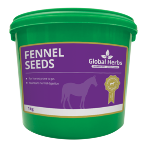 Global Herbs Fennel Seeds