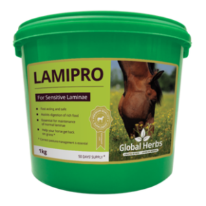 Global Herbs LamiPro Supplement