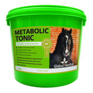 Global Herbs Metabolic Tonic 1kg