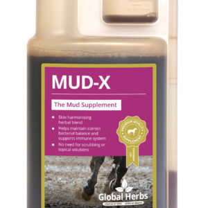 Global Herbs Mud-X Syrup 1L