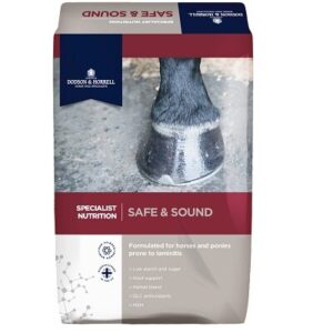 Dodson & Horrell Safe & Sound 18kg Click & Collect