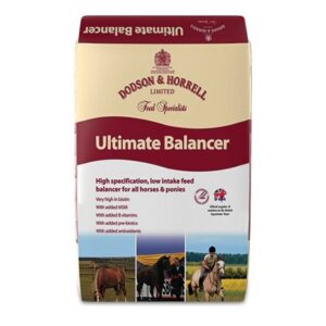Dodson & Horrell Ultimate Balancer 20kg Click & Collect
