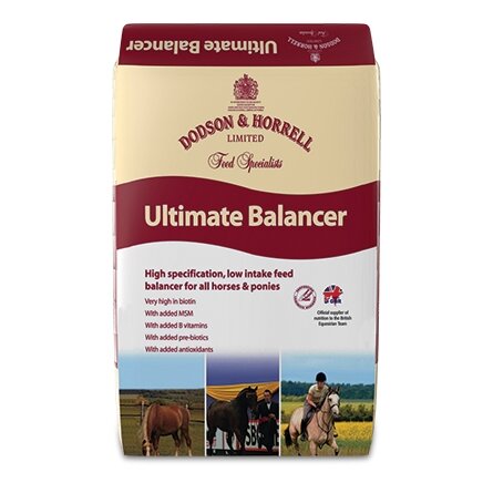 Dodson & Horrell Ultimate Balancer 20kg Click & Collect