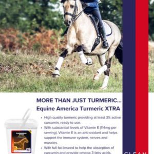 Equine America Turmeric Extra 3kg