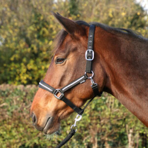 Hy Equestrian Sparkling Head Collar and Lead Rope