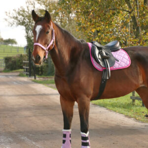 Hy Equestrian Glitzy Head Collar